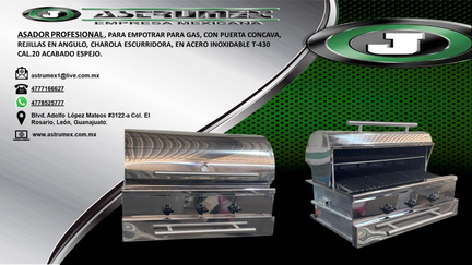 ASADOR ALTA GAMA EMPOTRAR