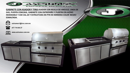 ESTRUCTURA CON PUERTAS Y ASADOR